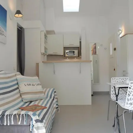 Appartement 2p Renove, Clim, Wifi, Terrasse, Parking, Proche - - Fr-1-226-304
